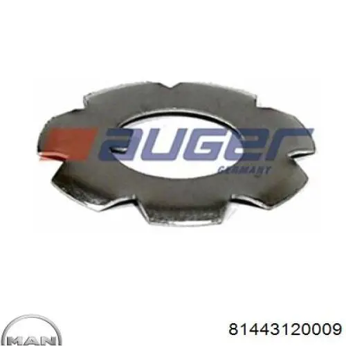 Купити 81443120009 MAN Заглушка маточини