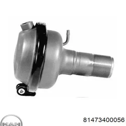 81473400056 MAN Кришка (пробка) бачка ГПК