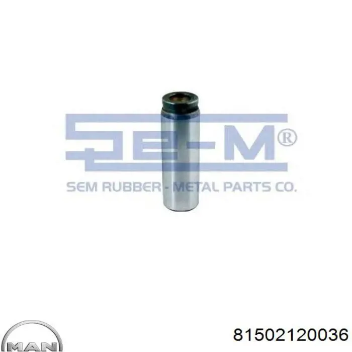 Палець задніх барабанних гальмівних колодок MAN 81502120036 ціна, від 6.29 USD