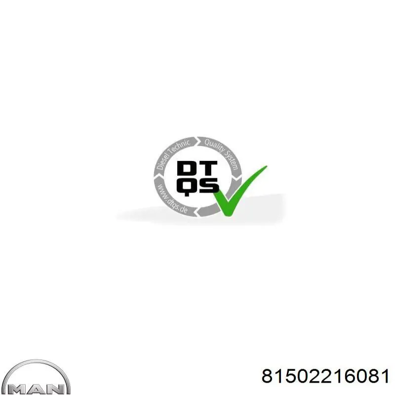 81502216081 MAN Накладка гальмівна задня (TRUCK)