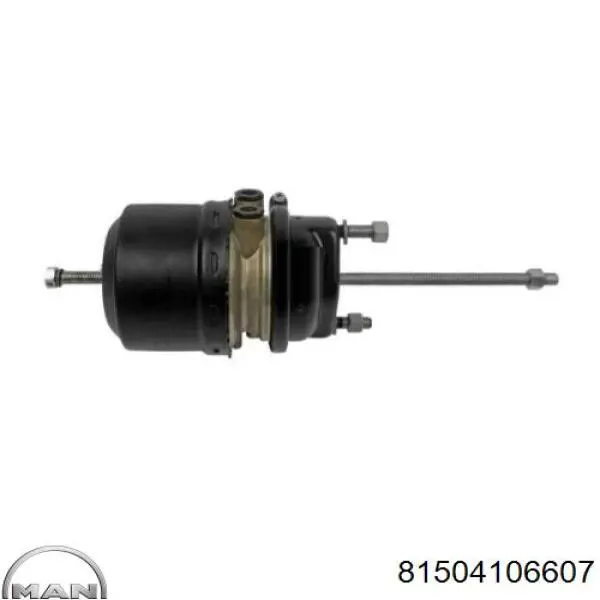 Купити 05BCT2024G06 SBP Камера гальмівна