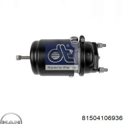 81504106936 MAN Камери пневматичного