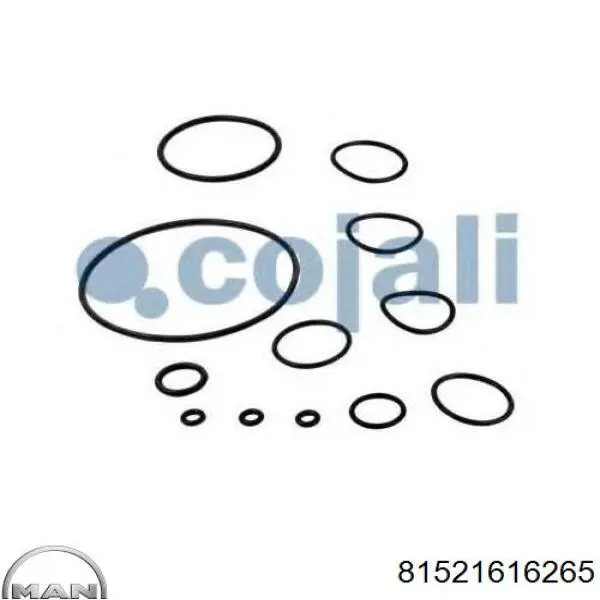 Ремкомплект головного гальмівного крану MAN 81521616265 ціна, від 29.99 USD