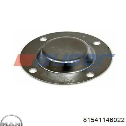 Головка компресора MAN 81541146022 ціна, від 184.68 USD