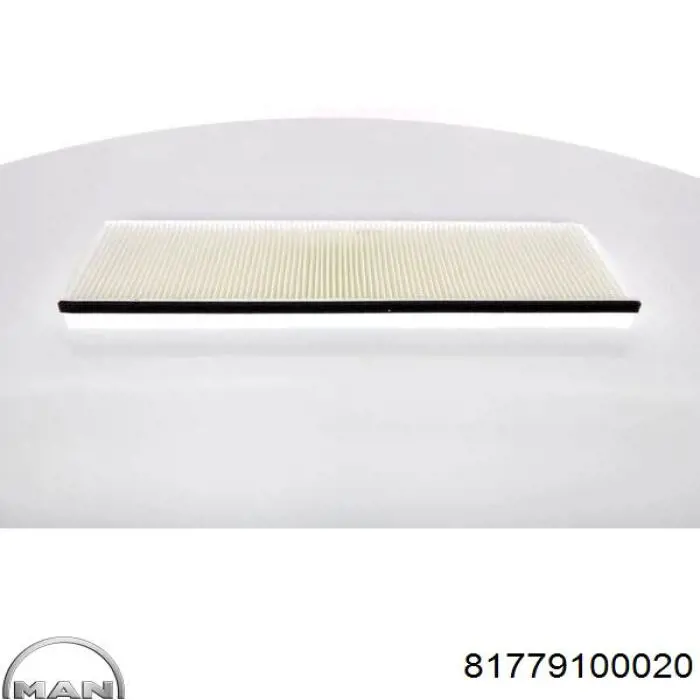 Купити 81779100020 MAN Фільтр салону вугільний