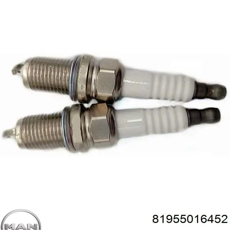 Трос газу MAN 81955016452 ціна, від 16.62 USD