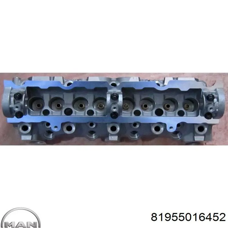Трос газу 81955016452 MAN
