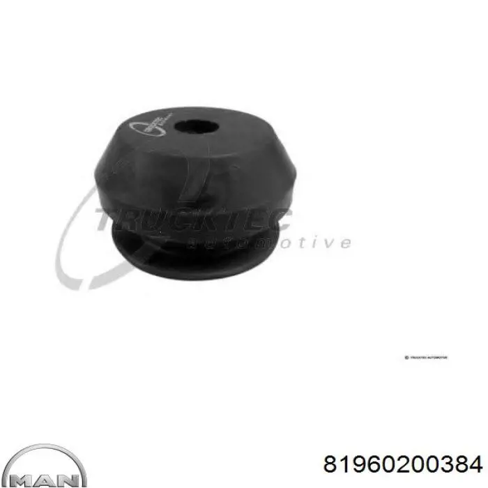 Подушка двигуна передня 22900AP Aplus