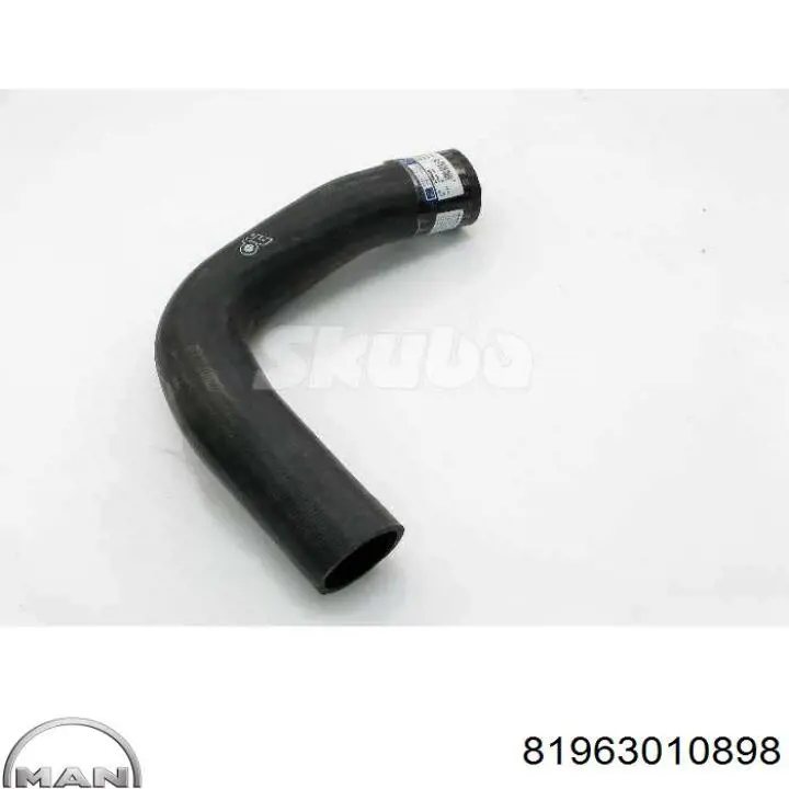 Шланг/патрубок радіатора охолодження, нижній Febi 101251 ціна, від 28.87 USD