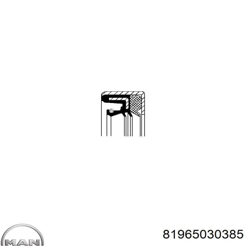Сальник редуктора заднього моста MAN 81965030385 ціна, від 34.56 USD