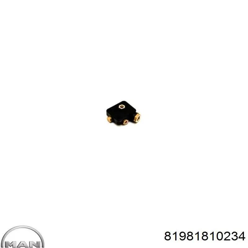Купити 81981810234 MAN 