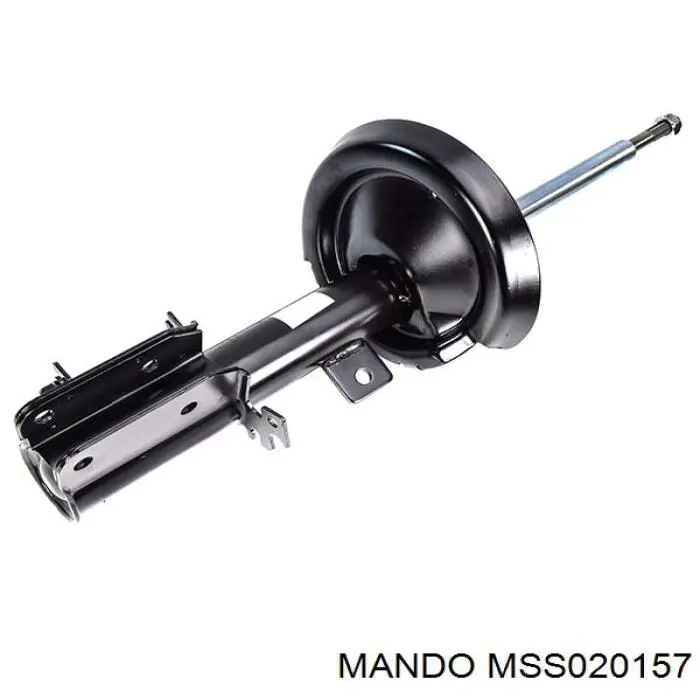 RS339234 Raiso Амортизатор задній, правий
