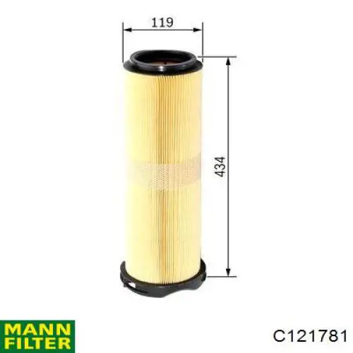Купити C121781 Mann-Filter Автомобільний фільтр повітря