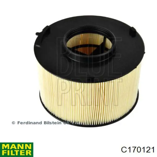 Купити C170121 Mann-Filter Автомобільний фільтр повітря