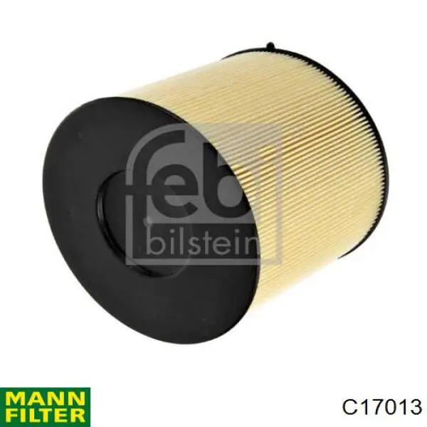 Купити C17013 Mann-Filter Автомобільний фільтр повітря