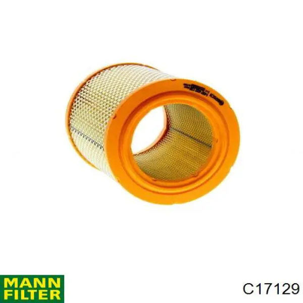 Повітряний фільтр C17129 Mann-Filter