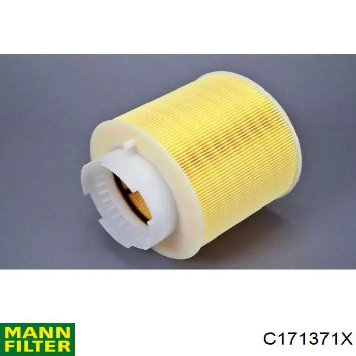 Купити C171371X Mann-Filter Автомобільний фільтр повітря
