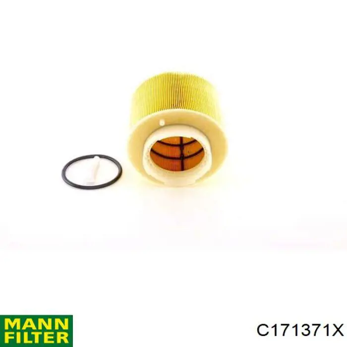 Повітряний фільтр C171371X Mann-Filter