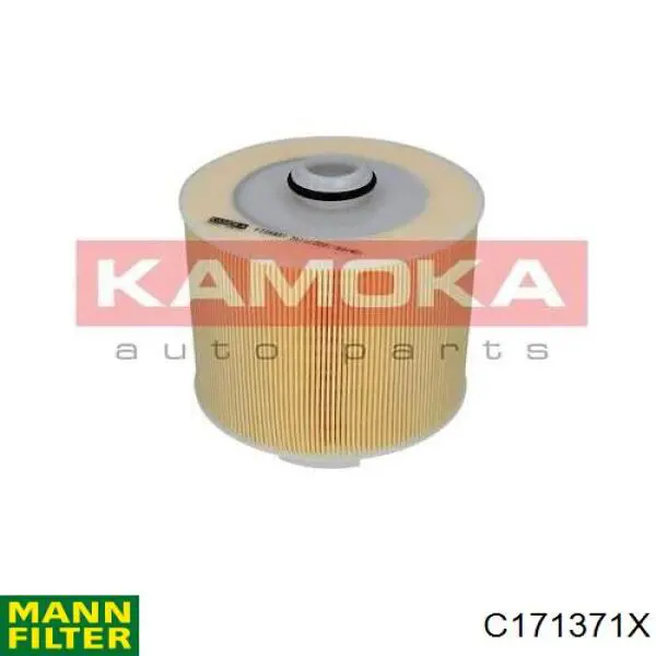 Елемент повітряного фільтра Mann-Filter C171371X ціна, від 22.48 USD