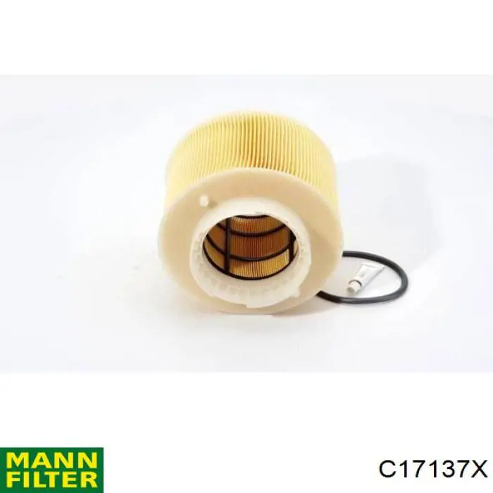 Елемент повітряного фільтра Mann-Filter C17137X ціна, від 22.48 USD