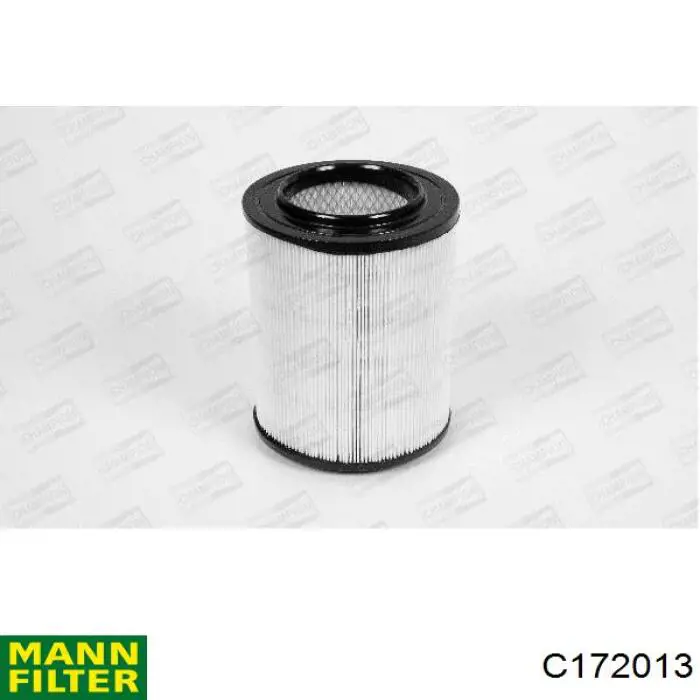 C172013 Mann-Filter Повітряний фільтр двигуна
