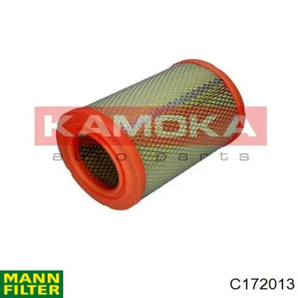 Повітряний фільтр C172013 Mann-Filter