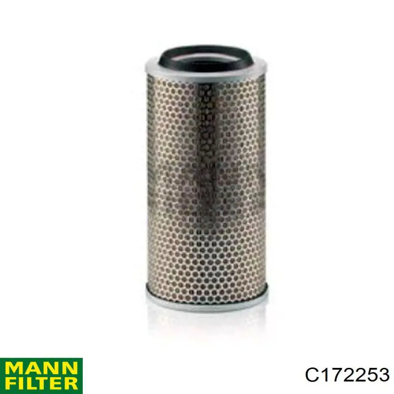 Купити C172253 Mann-Filter Автомобільний фільтр повітря