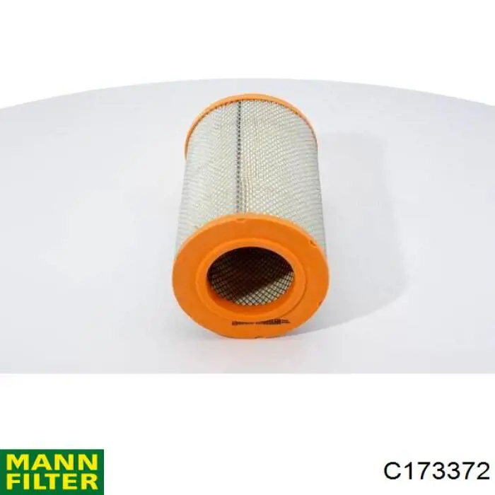 Купити C173372 Mann-Filter Автомобільний фільтр повітря