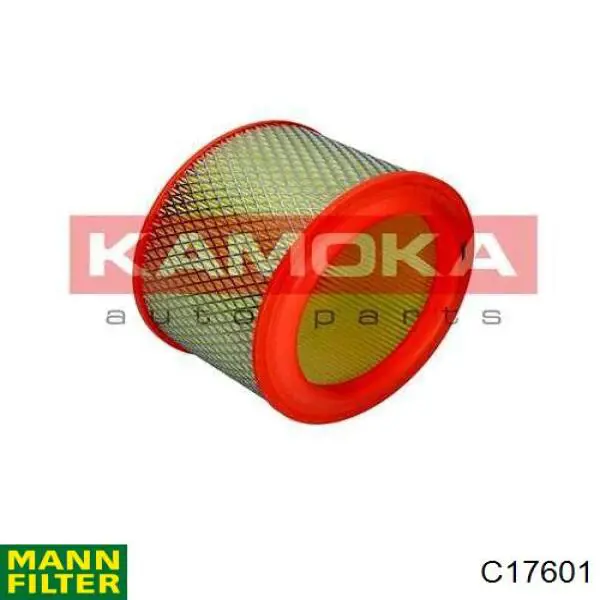 Купити C17601 Mann-Filter Автомобільний фільтр повітря