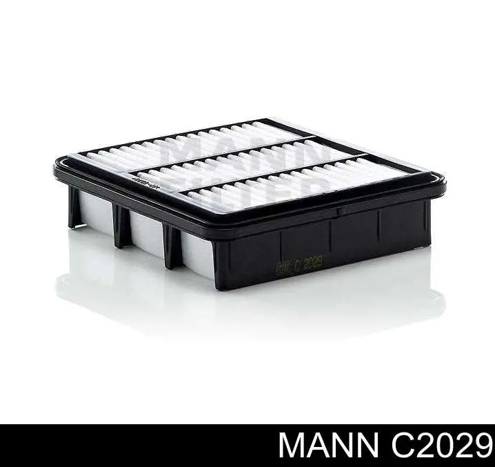 Купити C2029 Mann-Filter Автомобільний фільтр повітря