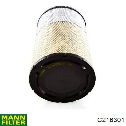 Купити C216301 Mann-Filter Автомобільний фільтр повітря