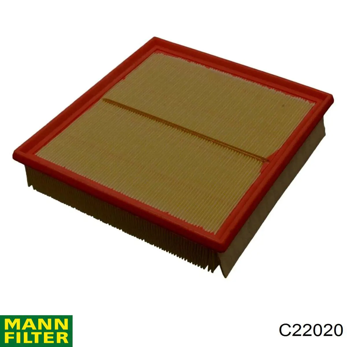 Купити C22020 Mann-Filter Автомобільний фільтр повітря