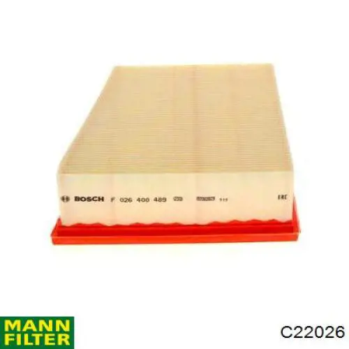 Купити C22026 Mann-Filter Автомобільний фільтр повітря