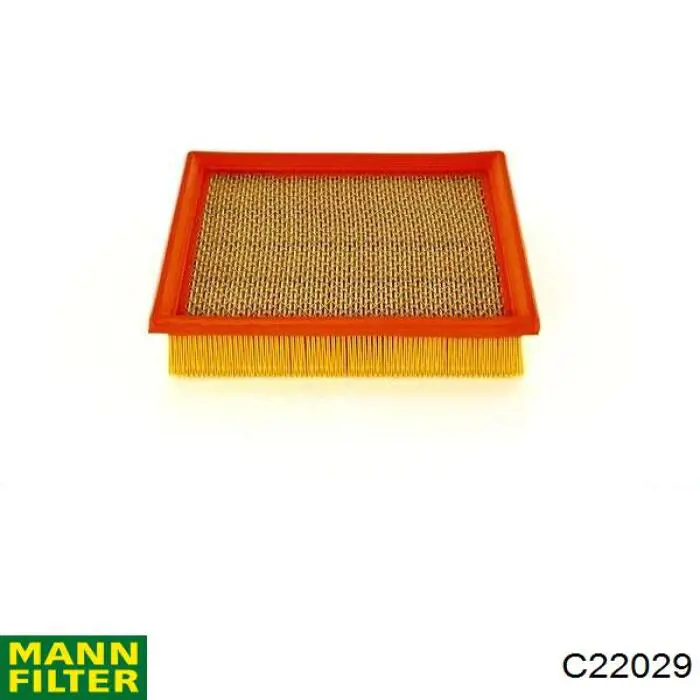 Елемент повітряного фільтра Mann-Filter C22029 ціна, від 20.98 USD