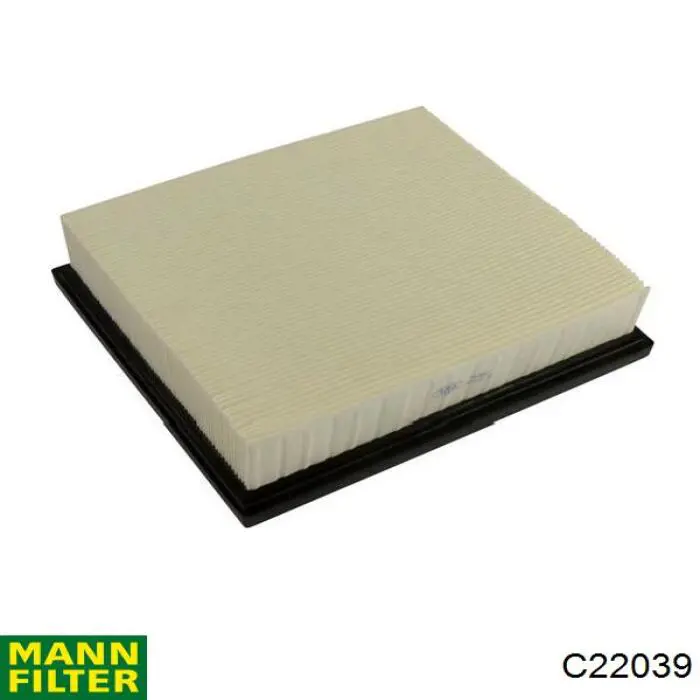 Купити C22039 Mann-Filter Автомобільний фільтр повітря