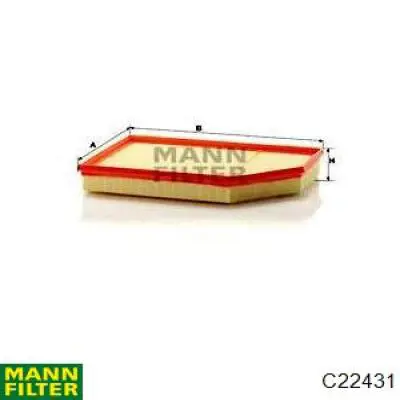 Елемент повітряного фільтра Mann-Filter C22431 ціна, від 25.15 USD