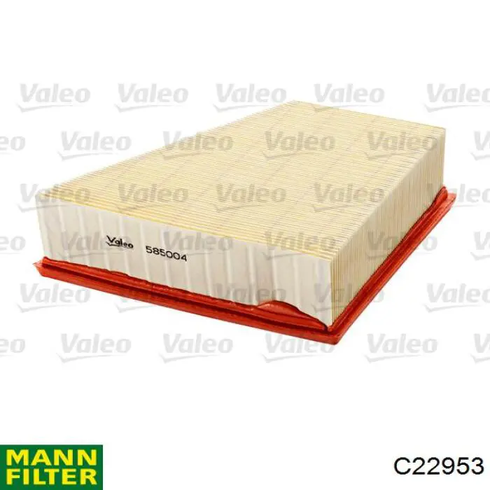 Повітряний фільтр C22953 Mann-Filter