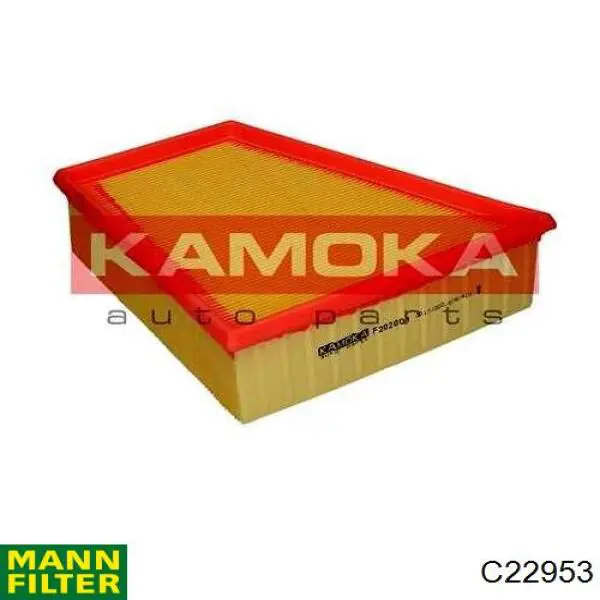 Купити C22953 Mann-Filter Автомобільний фільтр повітря