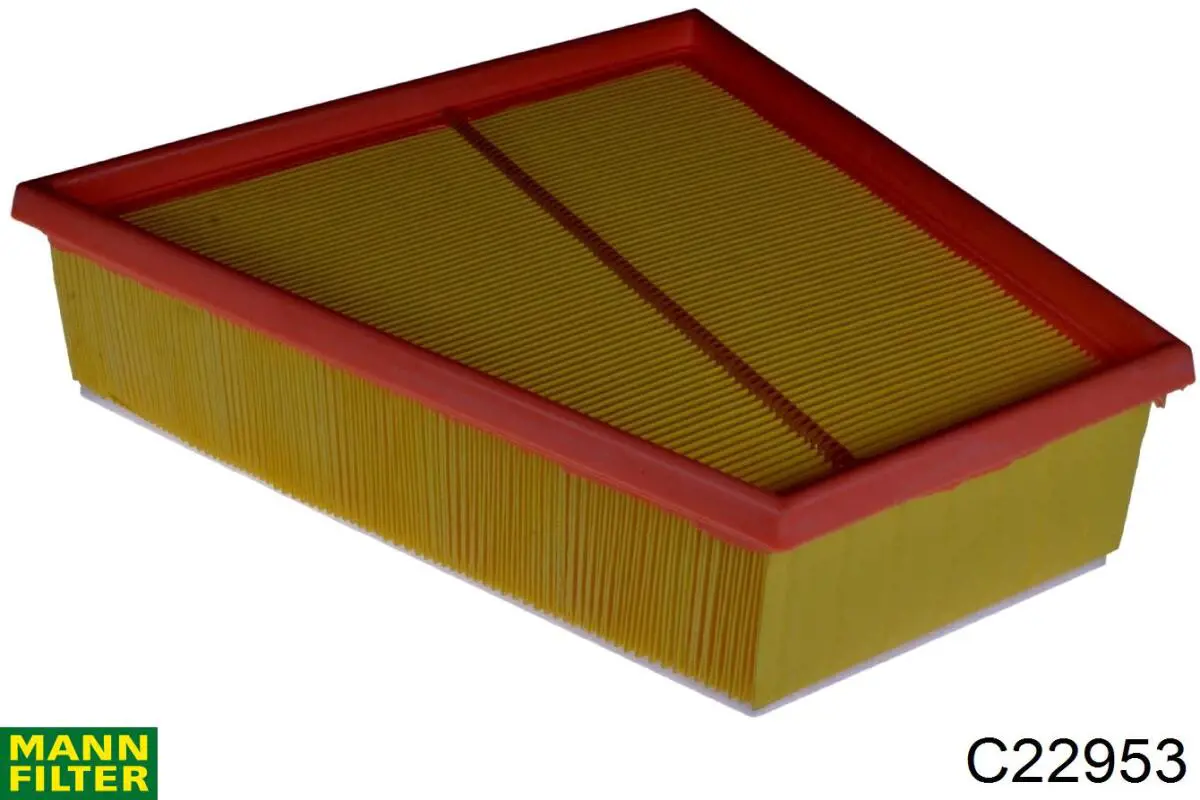 Купити C22953 Mann-Filter Автомобільний фільтр повітря