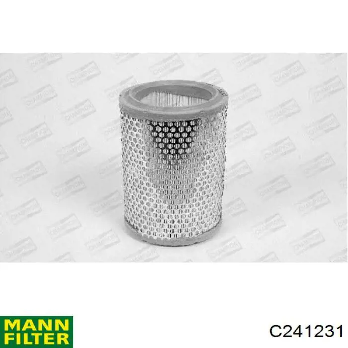 Фільтр повітряний Mann-Filter C241231
