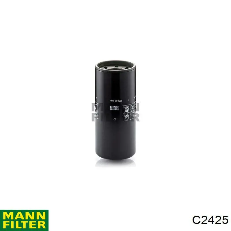 Купити C2425 Mann-Filter Автомобільний фільтр повітря