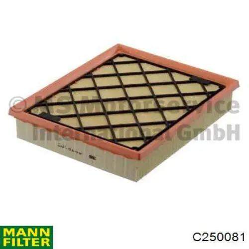 Купити C250081 Mann-Filter Автомобільний фільтр повітря