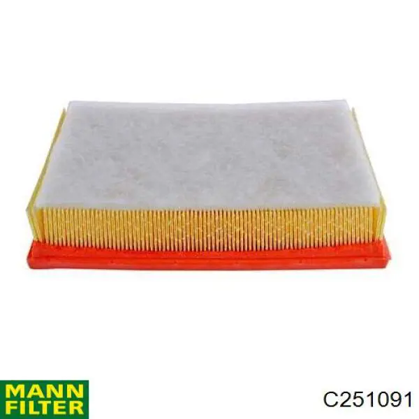 Купити C251091 Mann-Filter Автомобільний фільтр повітря