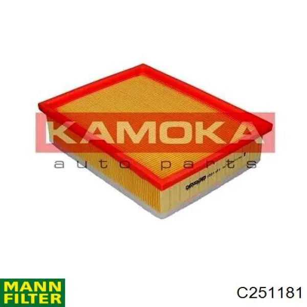 Повітряний фільтр C251181 Mann-Filter