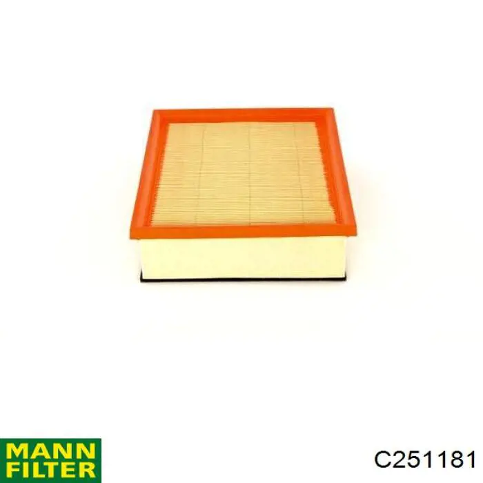 Фільтр повітряний Mann-Filter C251181