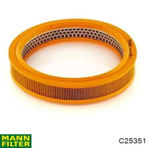 Повітряний фільтр C82433L Wanlanda