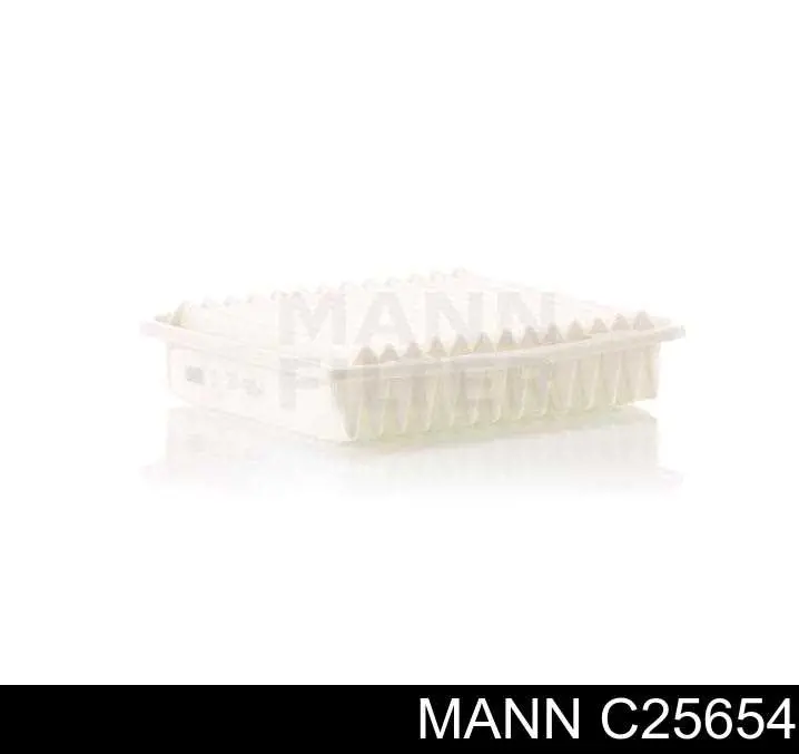Купити C25654 Mann-Filter Автомобільний фільтр повітря