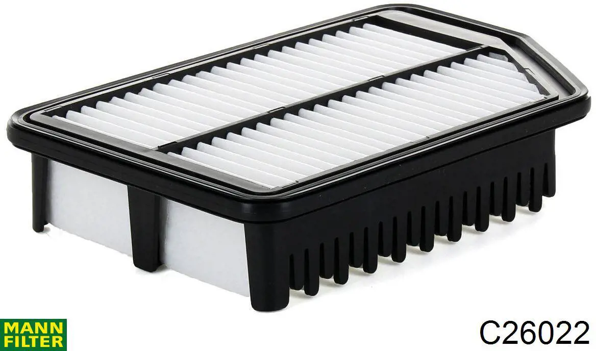 Купити C26022 Mann-Filter Автомобільний фільтр повітря