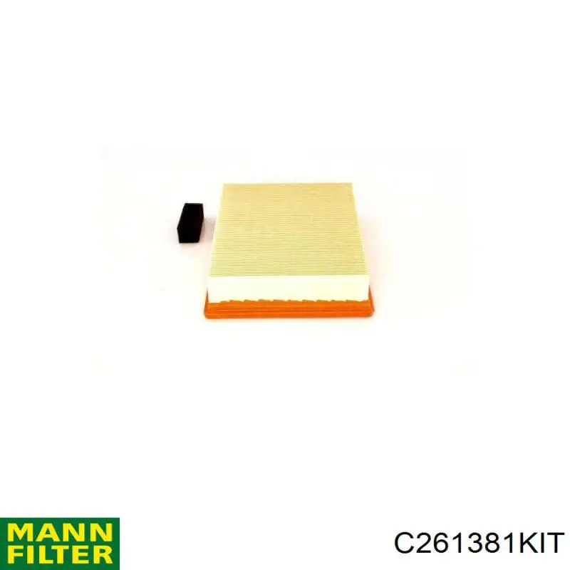 Купити C261381KIT Mann-Filter Автомобільний фільтр повітря