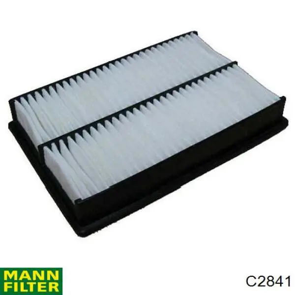 Купити C2841 Mann-Filter Автомобільний фільтр повітря